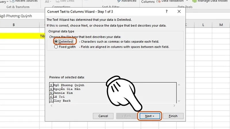 chọn mục Delimited để phân tách tên